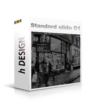 Standard Slide 01